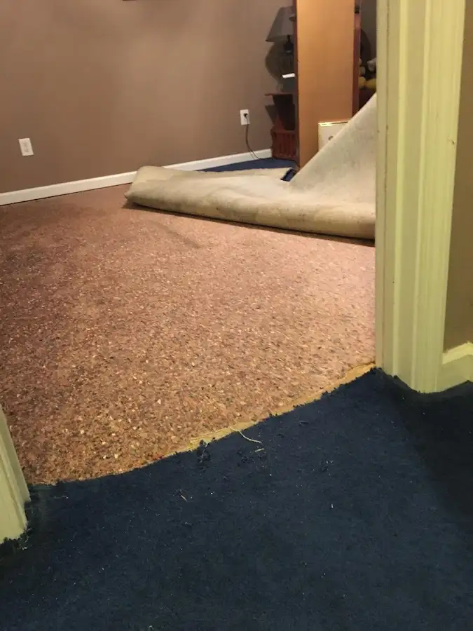 Carpet pad removal revealing water damage during Water Mitigation Services in Hingham